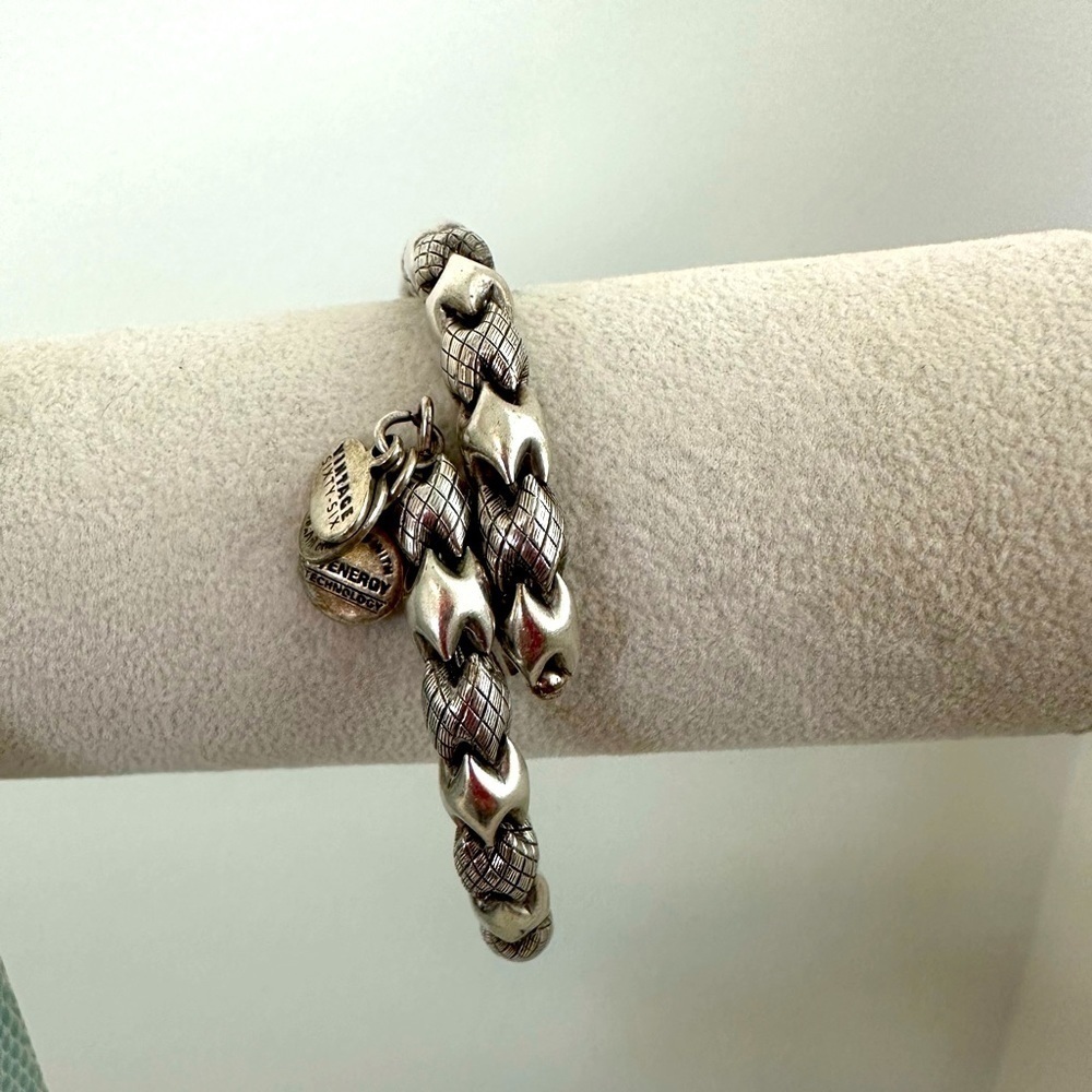 Alex and Ani Silver Bracelet With Three Charms